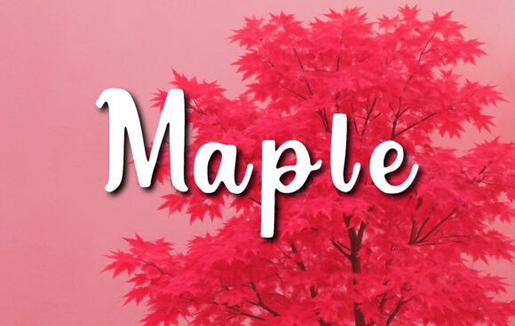 Maple: A Thoughtful Script for Real Work